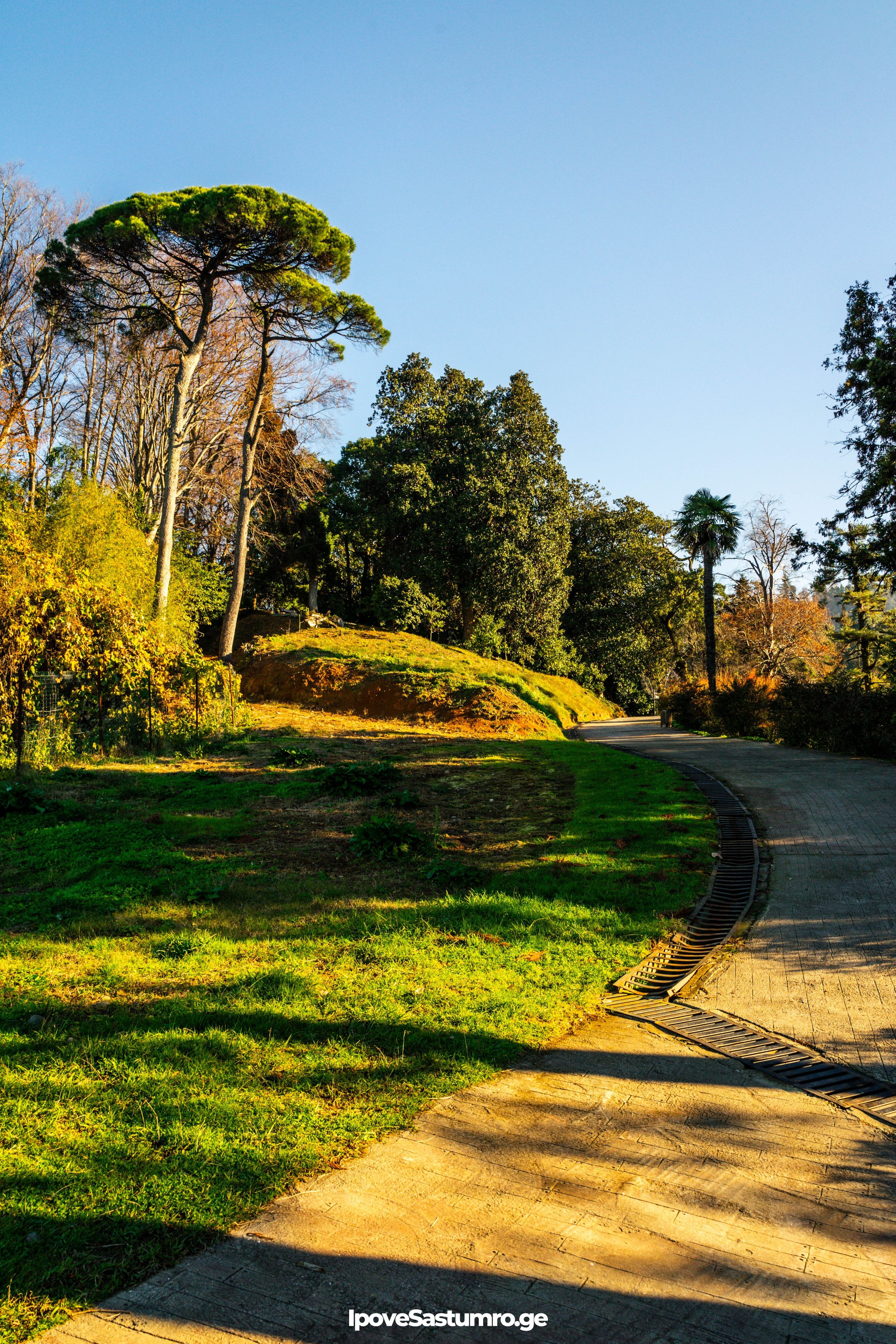 ბათუმის ბოტანიკური ბაღის ბილიკი - Path in Batumi botanical garden