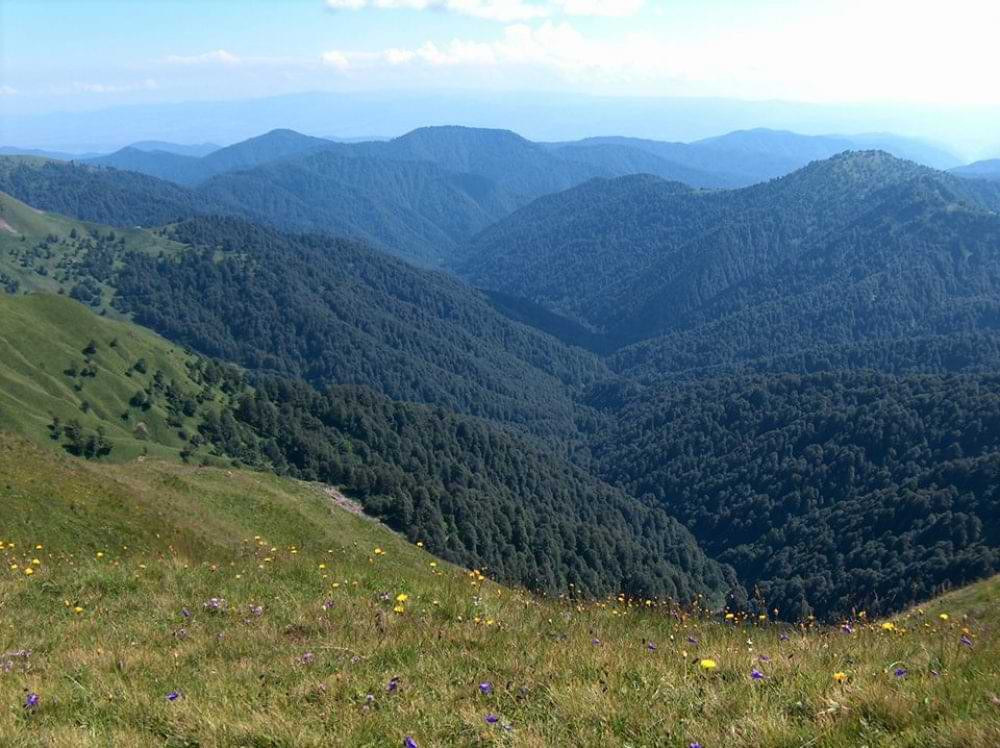 ბაწარის ეროვნული პარკი - Batsara Nature Reserve