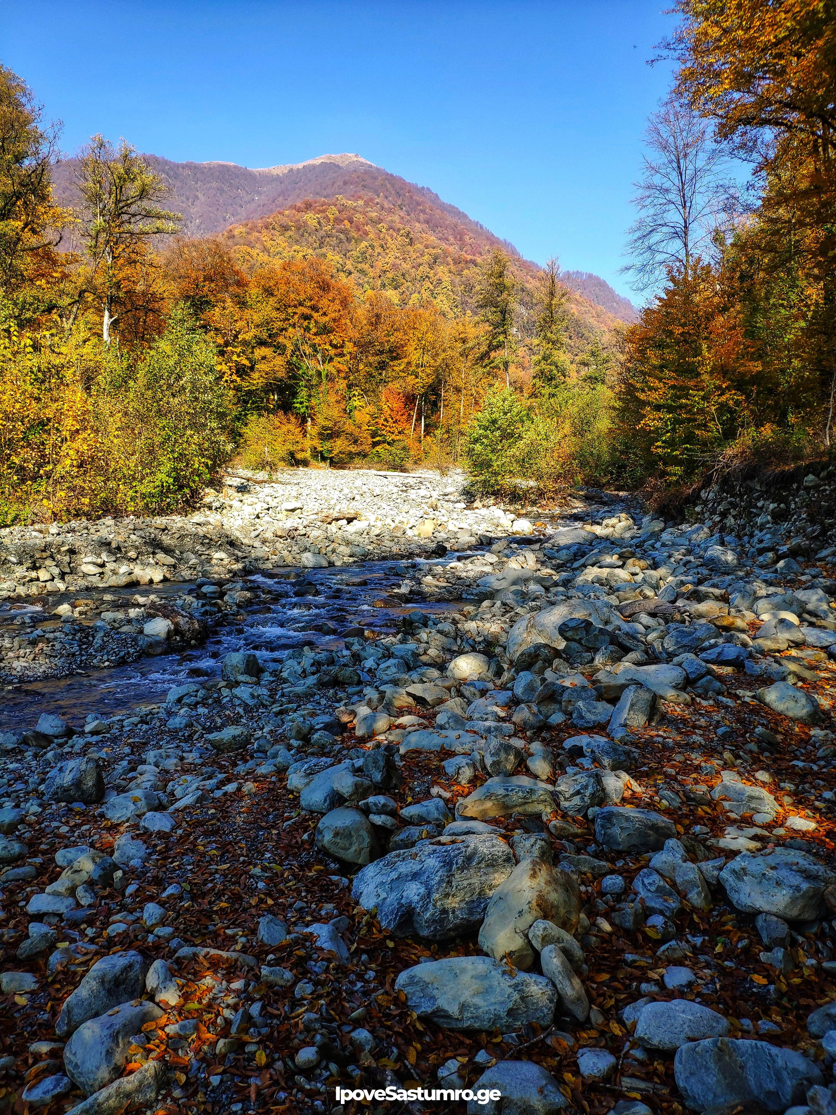 ლაგოდეხის ეროვნული პარკი შემოდგომაზე - Lagodekhi National Park in fall