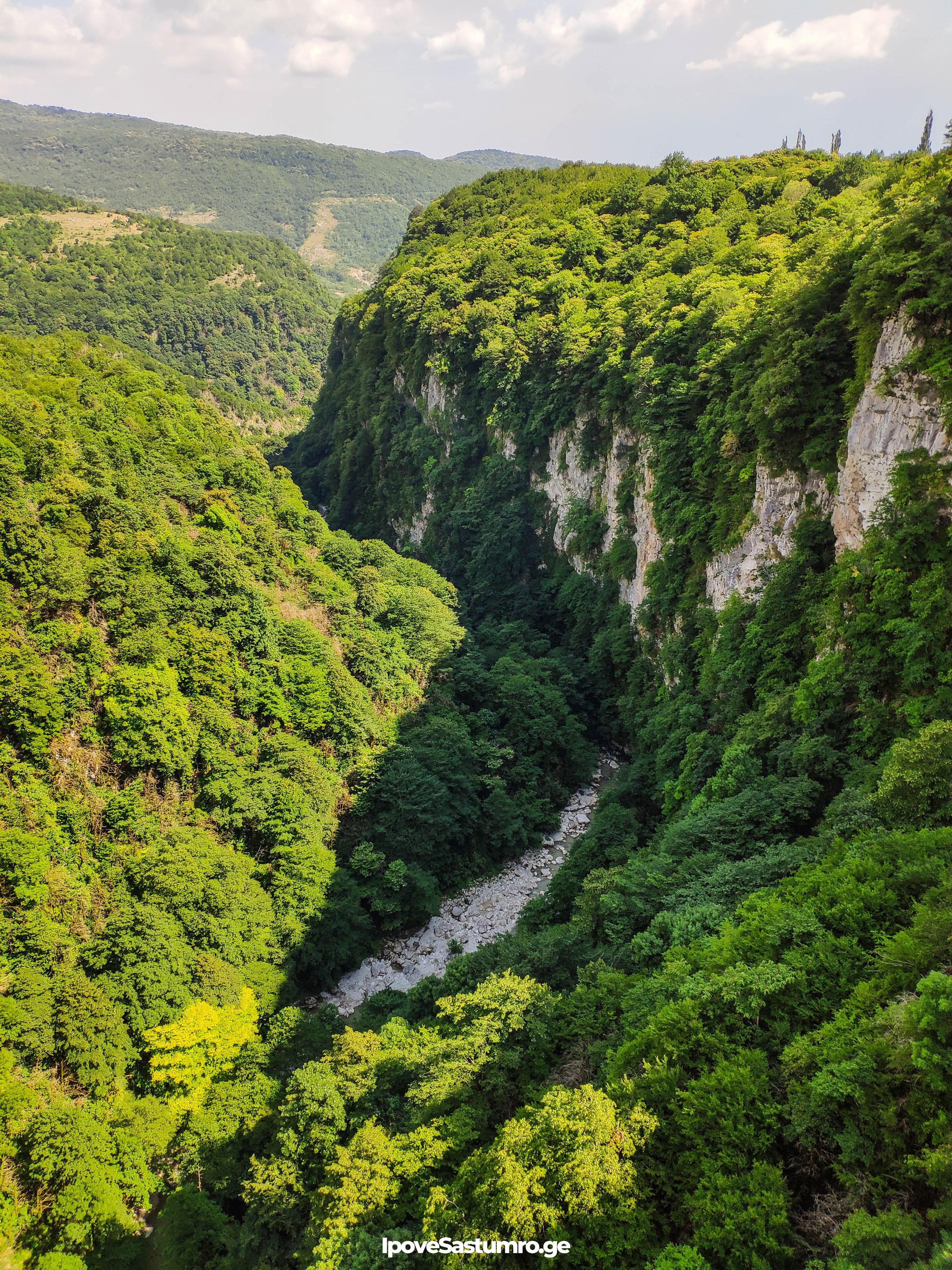 ტყე, ოკაცეს კანიონი - Forest, Okatse canyon